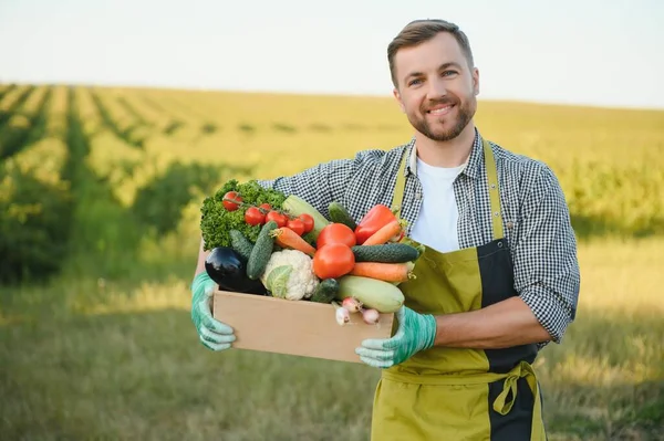 Мужчина Фермер Коробкой Свежих Овощей Ходит Полю Здоровое Питание Свежие — стоковое фото
