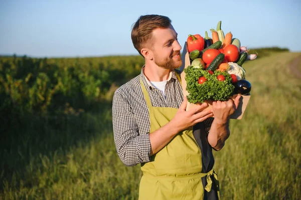 Ένας Αρσενικός Αγρότης Ένα Κουτί Φρέσκα Λαχανικά Περπατά Στο Χωράφι — Φωτογραφία Αρχείου