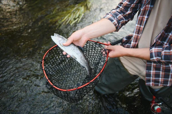 Fly Fisherman Holding Trout Out Water — Stock Photo, Image