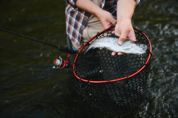 Nelayan Mengambil Ikan Trout Pelangi Besar Dari Jaring Pancingnya — Stok Foto