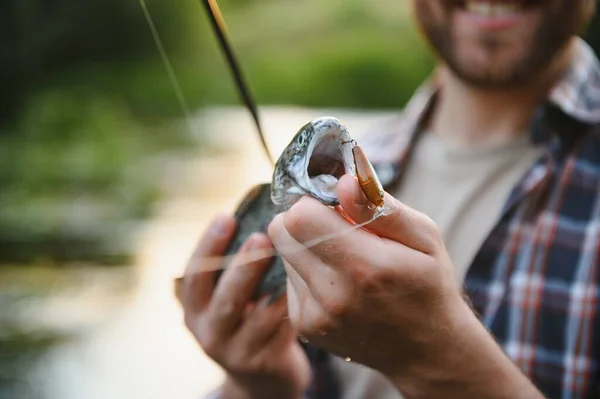 Fly Fisherman Holding Trout Out Water — ストック写真
