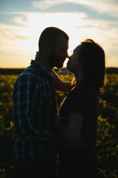 Vackra Par Tillsammans Tittar Vacker Solnedgång — Stockfoto