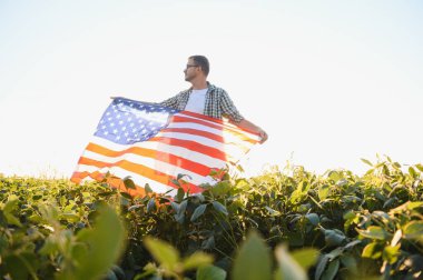 A young farmer stands with a USA flag in a soybean field. The concept of the US agricultural industry