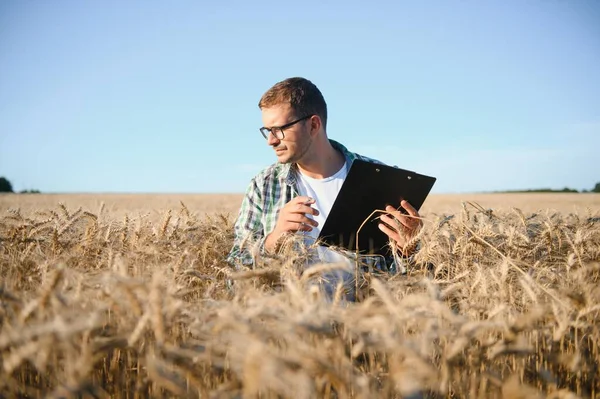 Young agronomist in grain field. Cereal farming.