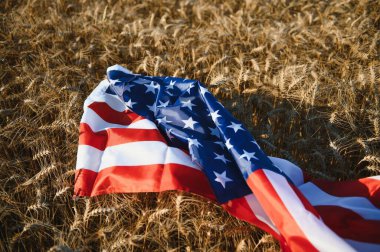USA American flag spreaded on the golden wheat field