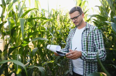 A young agronomist examines corn on agricultural land. Farmer in a corn field on a sunny day.