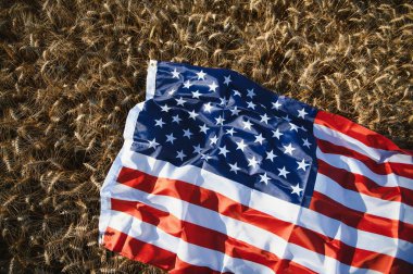 USA American flag spreaded on the golden wheat field