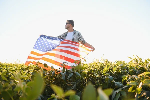 A young farmer stands with a USA flag in a soybean field. The concept of the US agricultural industry