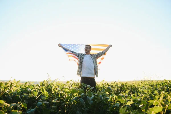 A young farmer stands with a USA flag in a soybean field. The concept of the US agricultural industry