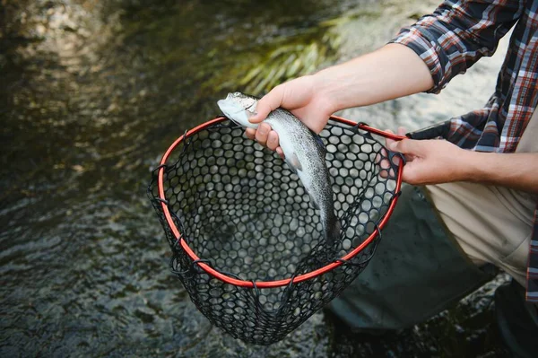 Trote Catturate Nella Rete Pesca — Foto Stock