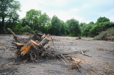 the concept of nature protection. Deforestation