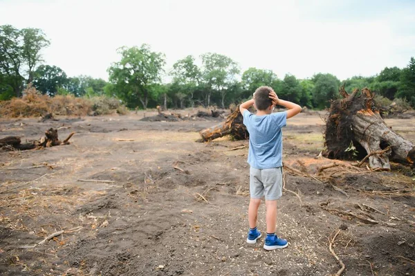 the concept of nature protection. Deforestation