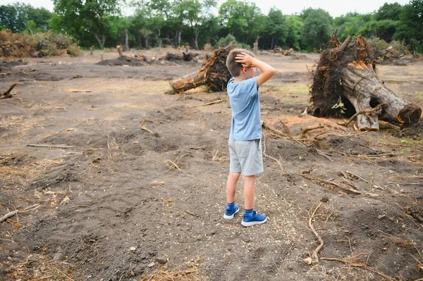 the concept of nature protection. Deforestation