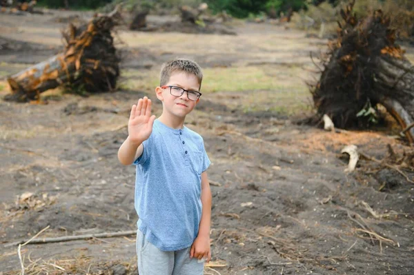 the concept of nature protection. Deforestation