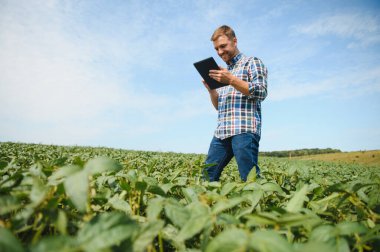 Soya tarlasında genç bir çiftçi.