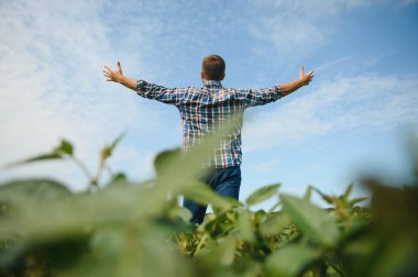 Soya tarlasında genç bir çiftçi.