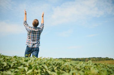 Soya tarlasında genç bir çiftçi.