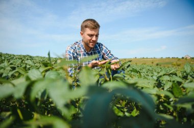 Soya tarlasında genç bir çiftçi.