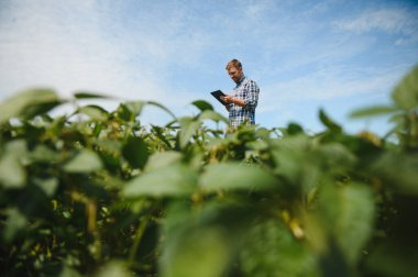 Soya tarlasında genç bir çiftçi.