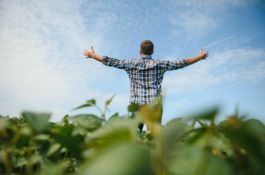 Genç çiftçi, soya fasulyesi şirketini inceliyor. Başparmak kaldırıyor..