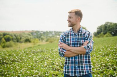 Agronomist tarlada yetişen soya fasulyesi ekinlerini inceliyor. Tarım üretim konsepti. Genç tarımcı yazın tarlada soya fasulyesi mahsulünü inceliyor. Soya tarlasında çiftçi
