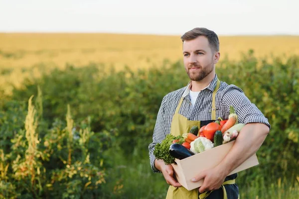 Farmer Holding Box Organic Vegetables — 스톡 사진