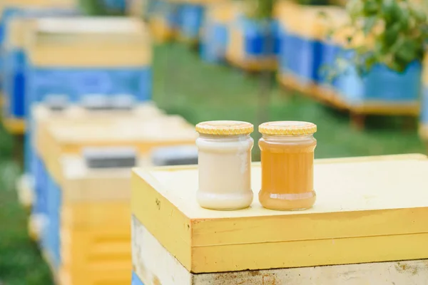 Jar Fresh Honey Glass Jar Beekeeping Concept Top View Copy — Stok fotoğraf