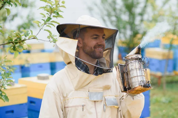 Včelař Pracuje Včelami Úly Včelíně Včely Plástech Rámy Včelího Úlu — Stock fotografie