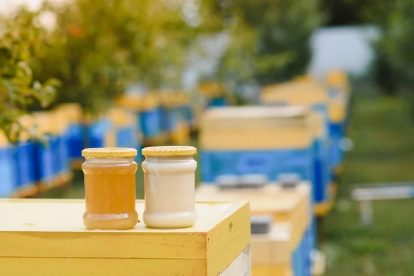 Jar Fresh Honey Glass Jar Beekeeping Concept Top View Copy — Zdjęcie stockowe