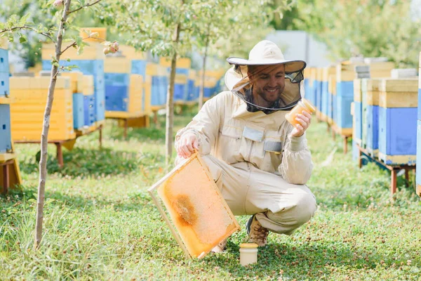養蜂家は養蜂家でミツバチとミツバチの巣を扱っています 養蜂の概念 — ストック写真