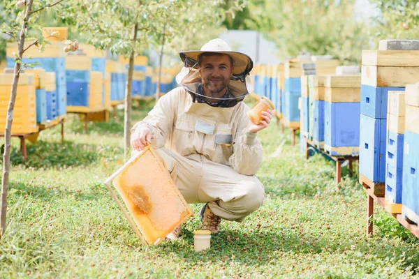 Pszczelarz Pracuje Pszczołami Uli Pasiek Koncepcja Pszczelarstwa — Zdjęcie stockowe