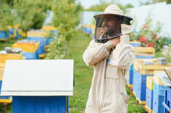 Pszczelarstwo Pszczelarz Pracy Pszczoły Locie — Zdjęcie stockowe