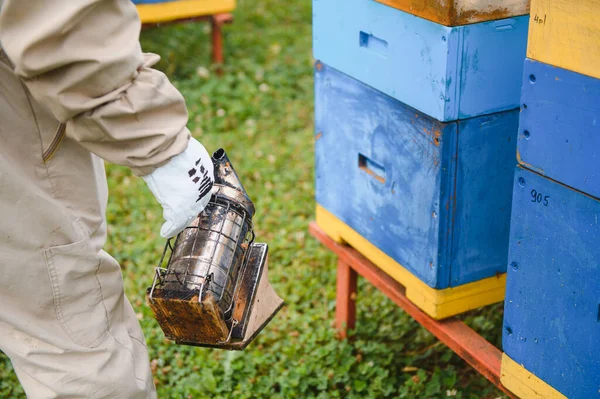 Beekeeper is working with bees and beehives on apiary. Bees on honeycomb. Frames of bee hive. Beekeeping. Honey. Healthy food. Natural products