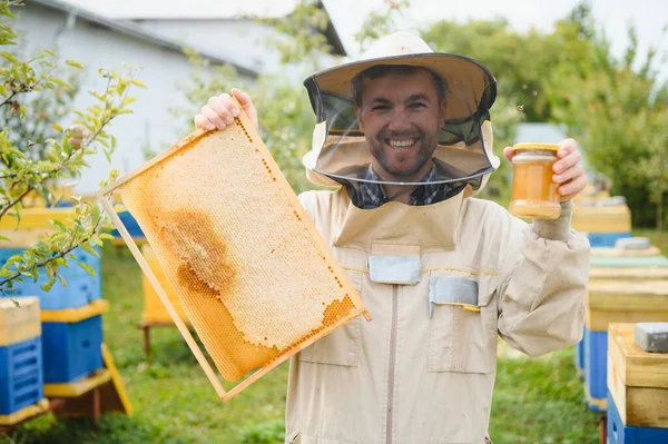 Včelaři Sbírají Med Koncept Včelařství — Stock fotografie