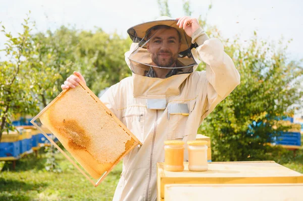 Biodlaren Hämtar Honung Biodlingskoncept — Stockfoto