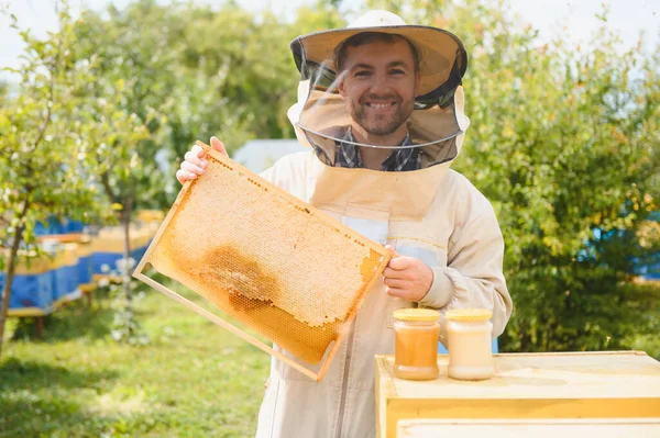 Biodlaren Hämtar Honung Biodlingskoncept — Stockfoto