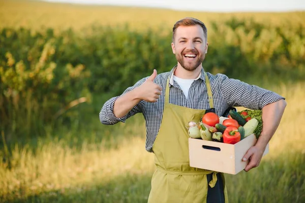 Farmer Holding Box Organic Vegetables — Foto Stock