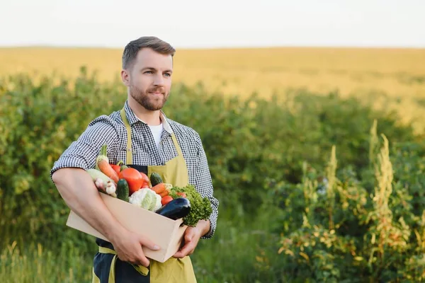 Farmer Holding Box Organic Vegetables — Stock fotografie