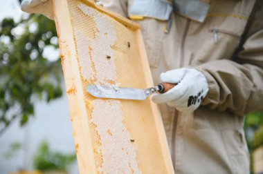 Arıcılık, arıcılık, uçuşan arıcılık.