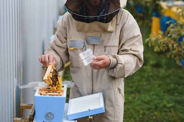養蜂家 養蜂家 飛行中の蜂 — ストック写真