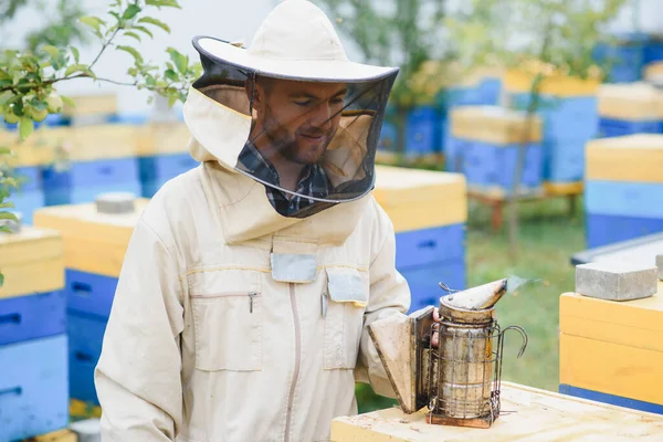 養蜂家の道具だ 養蜂家が蜂と一緒に働くためのすべて 喫煙者 彫刻家 ミツバチからの保護のための養蜂家のスーツ 養蜂のための機器 養蜂のコンセプトを維持 — ストック写真
