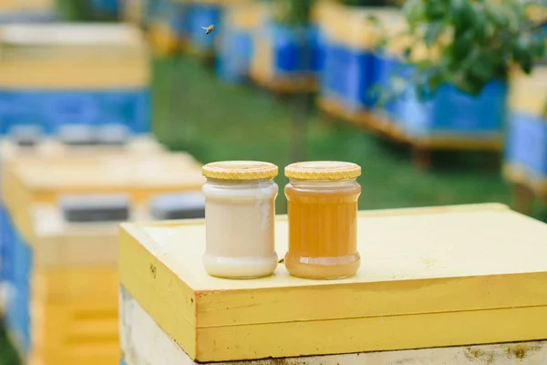 Jar Fresh Honey Glass Jar Beekeeping Concept Top View Copy — Zdjęcie stockowe