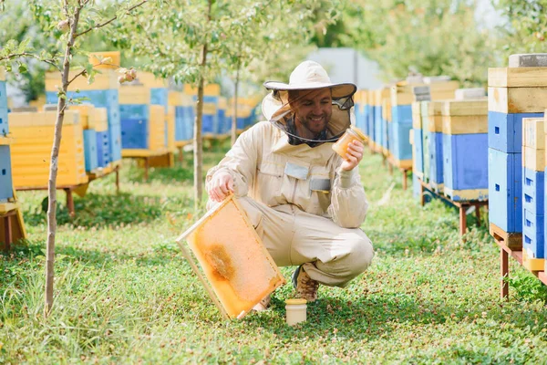 Imkerei Imker Bei Der Arbeit Bienen Flug — Stockfoto