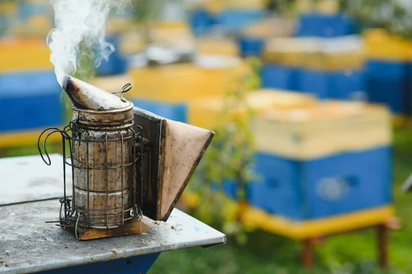 A tools of the beekeeper. Everything for a beekeeper to work with bees. Smoker, a chisel, a box, beekeeper suit for protection from the bees, equipment for beekeeping, beekeeping concept.