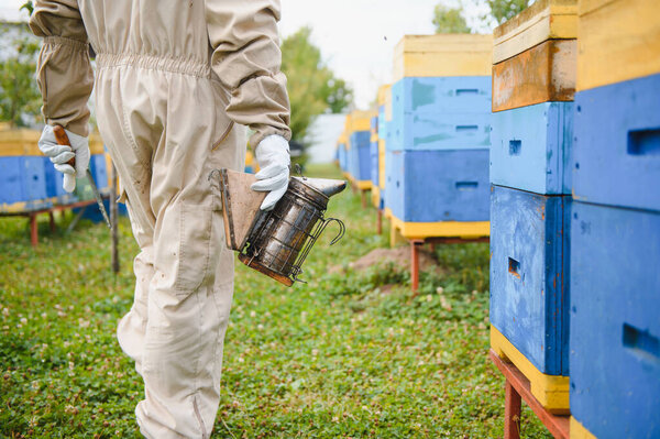 Beekeeper is working with bees and beehives on apiary. Bees on honeycomb. Frames of bee hive. Beekeeping. Honey. Healthy food. Natural products