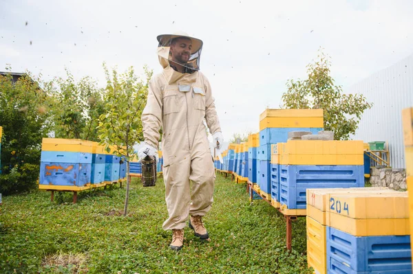 Imker Werkt Met Bijen Bijenkorven Bijenstal Bijenteelt Concept — Stockfoto