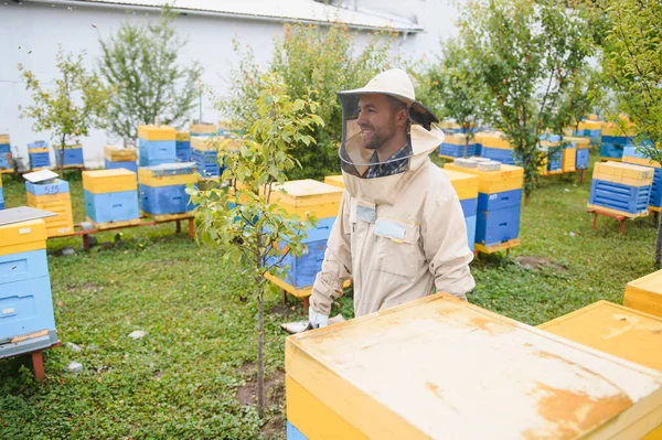 Včelařství Včelař Práci Včely Útěku — Stock fotografie