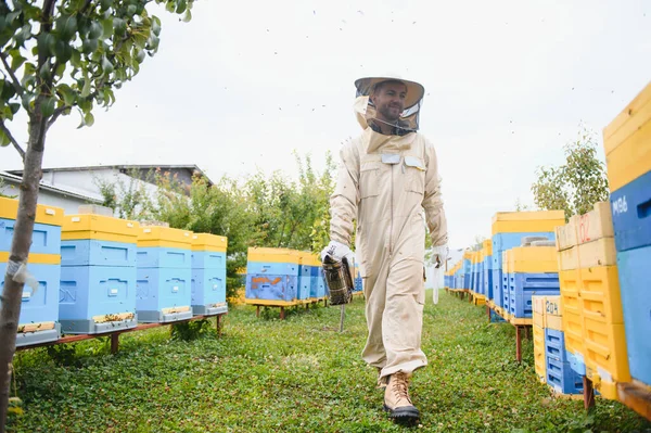 Imker Arbeitet Mit Bienen Und Bienenstöcken Auf Dem Bienenstock Imkerkonzept — Stockfoto