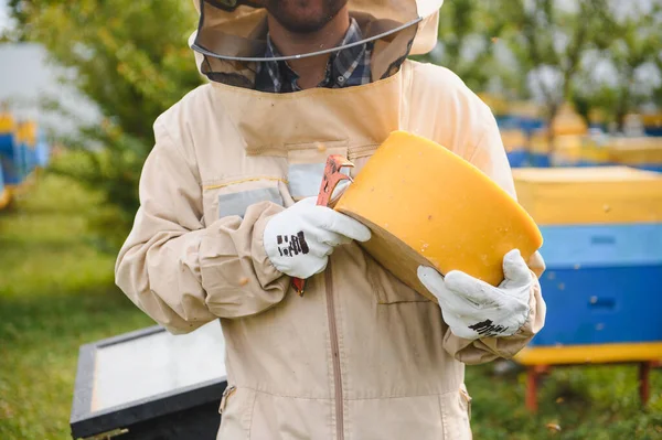 Bee Keeper Uniform Standing Apiary Holding Wax — ストック写真