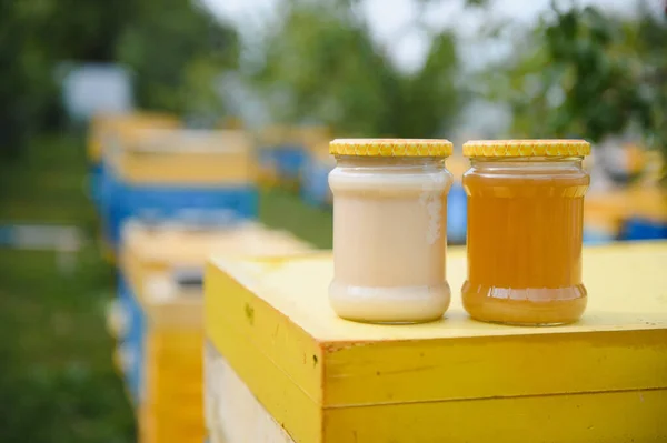 Jar Fresh Honey Glass Jar Beekeeping Concept Top View Copy —  Fotos de Stock